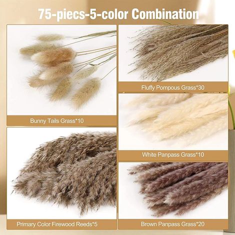 Lot de 75 - 10pcs Bunny Tails Herbe Et10 Pièces Pampa Blanche Et 20 Brun Et 30 Roseau Et 5 Roseaux De Bois De Chauffage (1/5)
