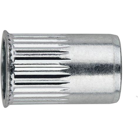 TR-CR - DADO RIVETTABILE. TESTA RIDOTTA 04X10,0 ( 500 pz.)