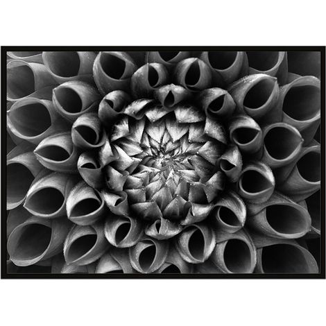 Póster con marco 53x73 cm Flor P1047 (1/3)