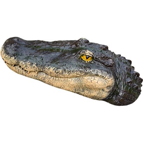 Statue de tête d'alligator réaliste, élément d'eau-260321 (1/2)