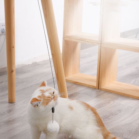 Balle électrique pour chat à ressort intelligente, jouet interactif et amusant pour chat. (1/5)