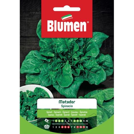 SEMI SPINACIO MATADOR BLUMEN (1/2)