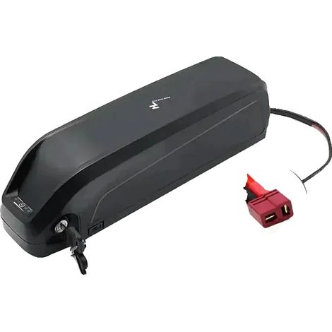Batterie Lithium-Ion, 48V, Capacité 40Ah, 36v-T-30AH (1/2)