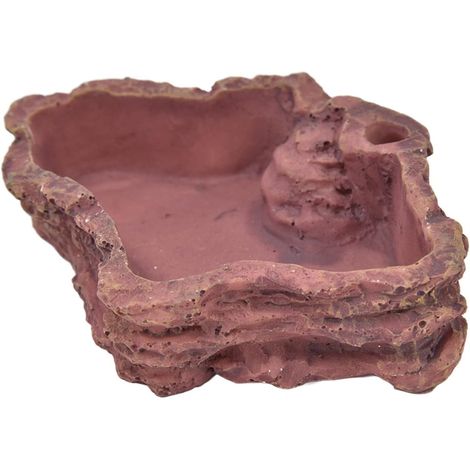 Plat d'eau De Nourriture pour Reptiles, Assiette d'alimentation pour Lézards pour Tortues, Serpents Et Lguanas-Facile à Nettoyer Et Design Attrayant (1/5)