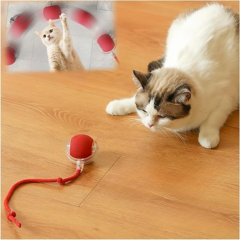 Juguetes interactivos para gatos de interior, pelotas activadas por movimiento, juguetes para gatos de interior aburridos (rojo) (1/5)