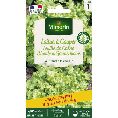 Laitue Feuille de Chêne Blonde à Graine Noire + 50% Offert Vilmorin