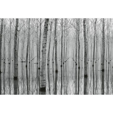 Papier peint panoramique forêt dans l'eau gris | Tapisserie panoramique arbre grise pour chambre | Papier peint panoramique nature salon - 384 X 260 cm (8 pièces) (1/2)