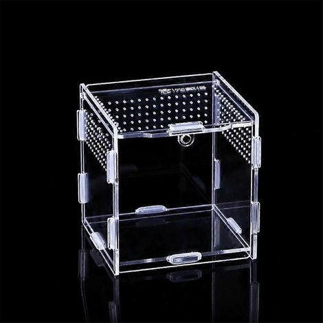 Boîte d'alimentation pour insectes en acrylique transparent pour l'élevage de petits reptiles 4 Si-M- (1/5)