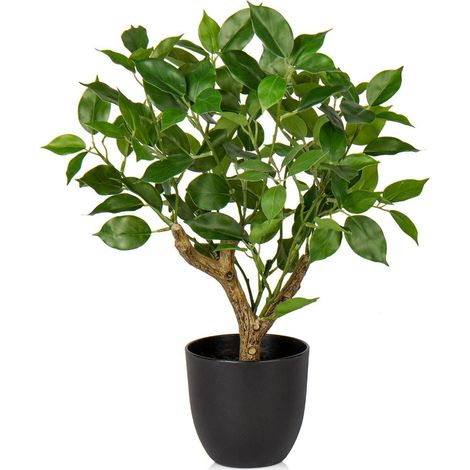 43CM Künstliche Ficus Kunstpflanze in Schwarzem Topf - Deko für (1/5)