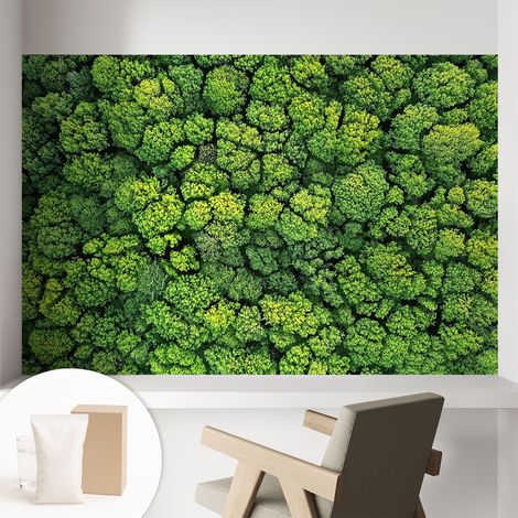 Papier peint intissé mural avec colle pour salon et chambre Décoration murale rapide - Colle incluse gratuite Panorama forestier 104x70 cm (1/5)