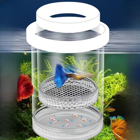 Boîte d'élevage d'aquarium, cage d'isolation flottante avec cercle en éponge de flottabilité EVA, hauteur réglable en continu, grande taille pour petits poissons, Guppy (1/3)