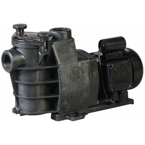 Pompa per piscine interrate Max Flo da 8 m3 ora (1/5)