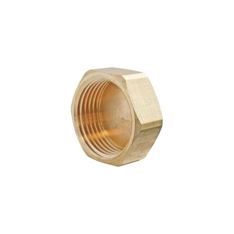 Bouchons à filetage interne de 20 mm - lot de 2, pour raccords de tuyauterie - compatibles avec tous les raccords en laiton - nécessitent une rondelle plate pour l'étanchéité. (1/2)