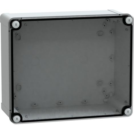 Thalassa - boîte industrielle - transparente - 291x241x128mm - ABS - NSYTBS292412T (1/3)