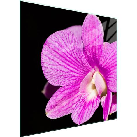 PLACA PROTECTORA DE VIDRIO PARA ESTUFA 50x52 ORQUÍDEA (1/5)