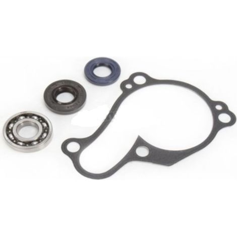 KIT DE RÉPARATION DE POMPE À EAU BEARING WORX YAMAHA YZ 450F '10-'13 (WPK0029)