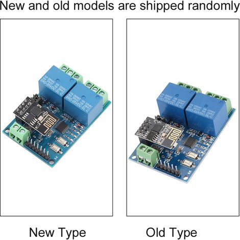 Relais WiFi double canal ESP8266 5V pour maison connectée, application mobile et commande à distance (1/5)