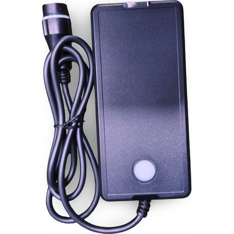 CARICABATTERIE PER BICI ELETTRICA YAMAHA INTUBE 500WH (1/5)