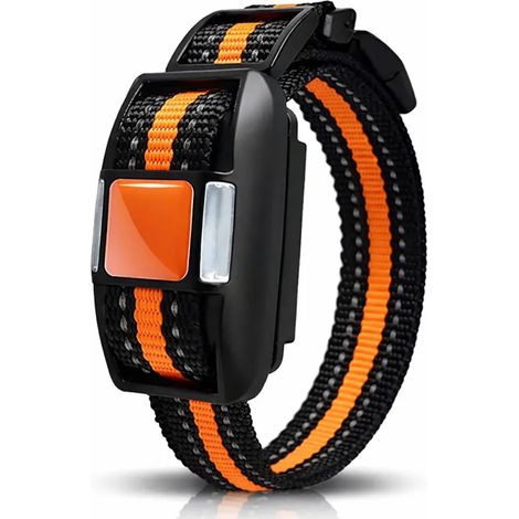 Collier supplémentaire de dressage sans électrochoc 500 m – Bip et vibration – Étanche IP67 – Rechargeable