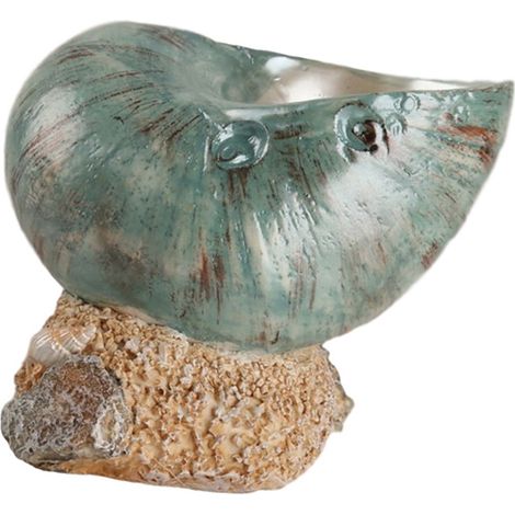 Coquillage - Décor en Résine pour Intérieur - Modèle de Coquille de Conque Réaliste - Pour Décoration d'Entrée, Table à Manger, Jardin ou Aquarium - 1 Pièce (1/5)