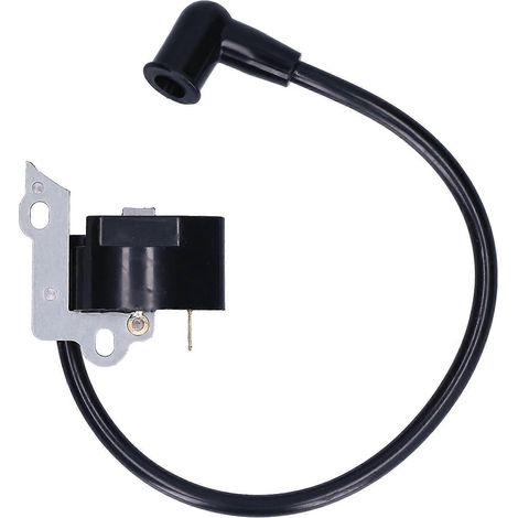Bobine d'allumage, carburant moteur, haute tension, accessoires pour outils électriques, équipement électrique 530039198 (1/5)