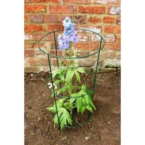 24 Inches Conical Rust (Pack of 4) - Steel - L25 x W18 x H60 cm - Bare Metal/Ready to Rust