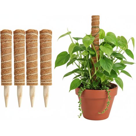 Set di 4 supporti per piante rampicanti in schiuma di cocco, riutilizzabili e telescopici, ideali per piante fiorite (30 cm).