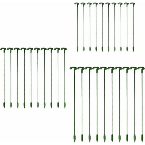 Tuteurs pour plantes jardin – Lot de 30 tiges métalliques hautes 60 cm, idéaux pour roses, pivoines, lys et orchidées (1/5)
