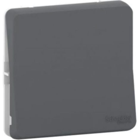 Conmutador de Schneider  Gris (1/5)