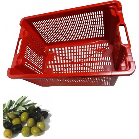 Cesta Rettangolare Fondo Forato per Olive (1/3)