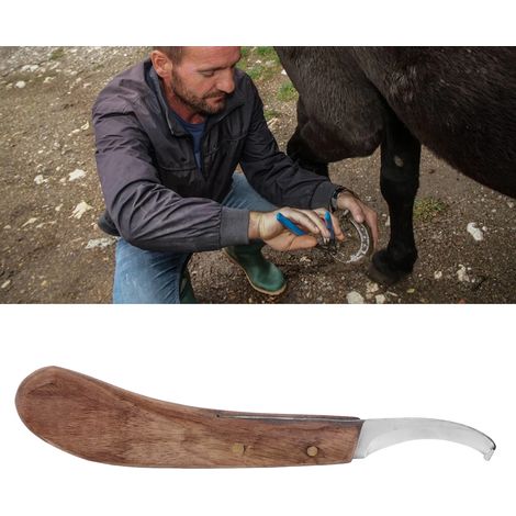 Raspador de cascos ergonómico de fibra de carbono para caballos – Hoja afilada, mango de madera, 21,8 cm de longitud, modelo para zurdos (1/5)