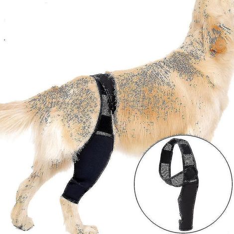 Kniebandage für Hunde (vorderes Kreuzband, Patellaluxation, Arthritis) – Hält das Gelenk warm – Zusätzliche Unterstützung – Lindert Schmerzen und Entzündungen – XL