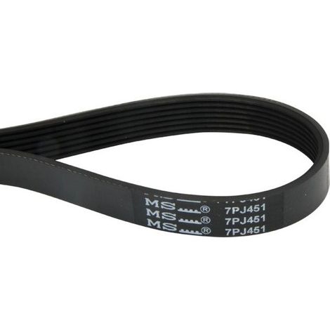 Castelgarden – Courroie nervurée pour tondeuse électrique – Type 7PJ451 – Compatible GGP, Alpina, Elem Technic – Coupe nette sans éclat