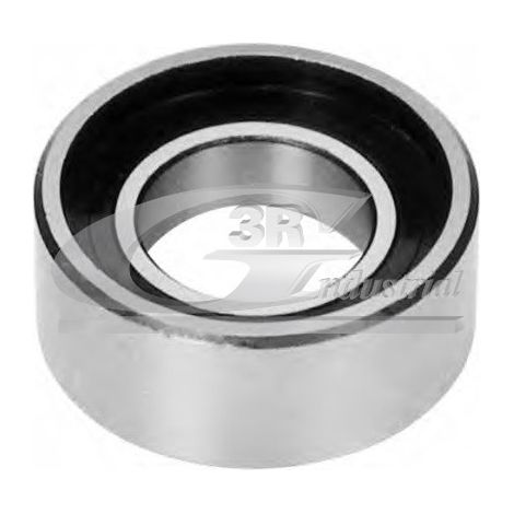3RG 13901 RODILLO TENSOR