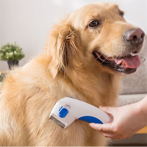 Peigne électrique anti-puces pour chiens, peigne à mouches et à puces pour animaux de compagnie, outil d'élimination des puces (1/5)