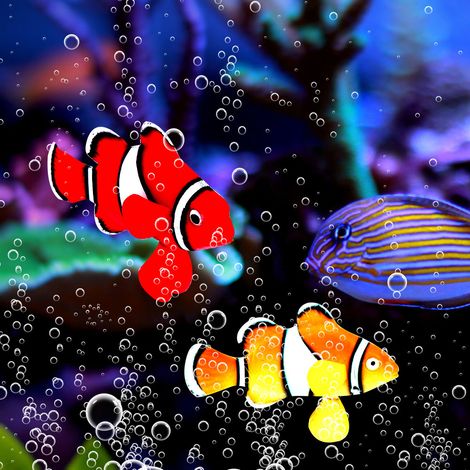 Poisson-clown lumineux bionique en silicone, décoration pour aquarium. (1/5)