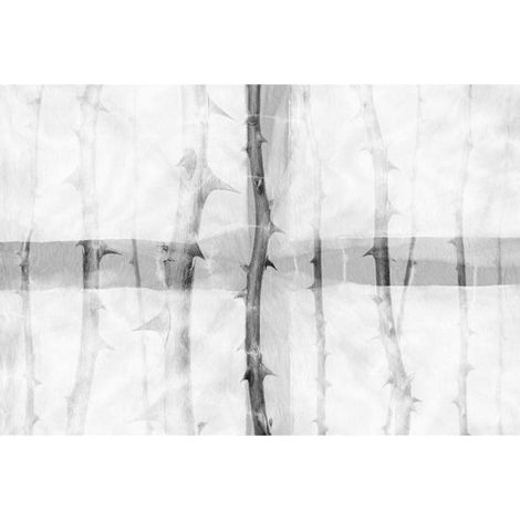 Papier peint panoramique moderne gris & blanc Tapisserie panoramique nature grise & blanche Papier peint panoramique chambre motif ronce & épine (1/3)