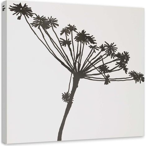 Tableau sur toile Plante Noir & Blanc 60x60 (1/5)