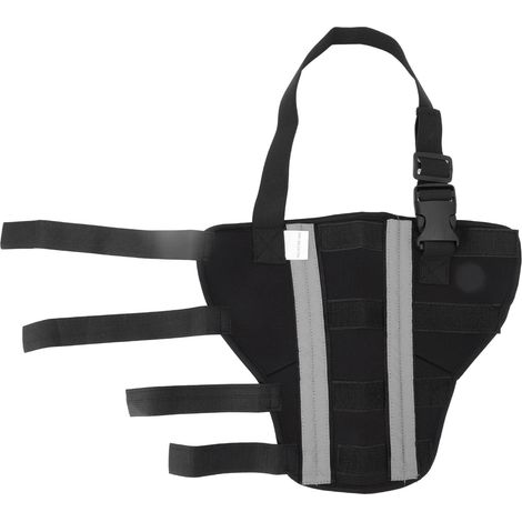 1 Genouillère Arrière Chien Support Stable Néoprène Bandage Protection Post-opératoire (1/5)