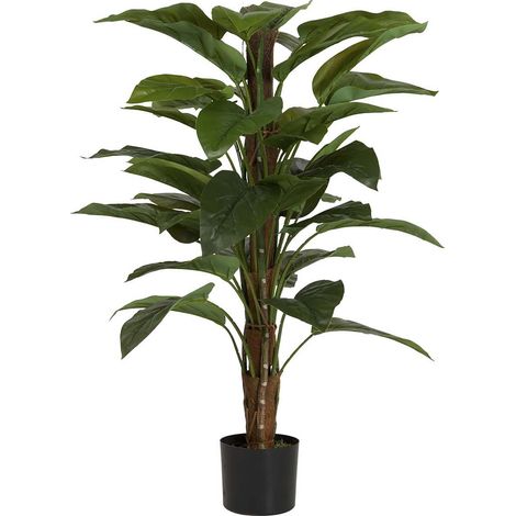 Aureum Pflanze mit Topf 65X65X125 Cm (1/5)