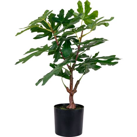 Figentræ plante artificielle H60 cm verte. (1/5)