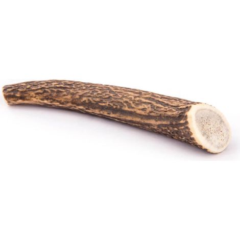 Jouet à mâcher en forme de bois de cerf 4DOGS, taille L, dur (1/5)