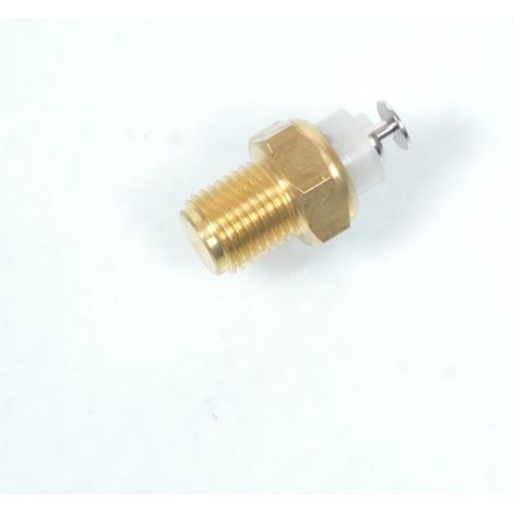 Sonde de température RMS pour Auto 800053249 Neuf (1/3)