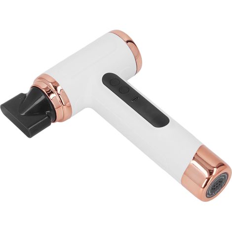 Sèche-cheveux portable multifonctionnel pour animaux et animaux de compagnie, utilisable sur cheveux secs ou mouillés, blanc, 200 W (1/5)