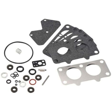 Kit zur Überholung des Vergasers für Briggs & Stratton, Modellnummern 797890, 792455, 499811, 499812, 699735 (1/4)