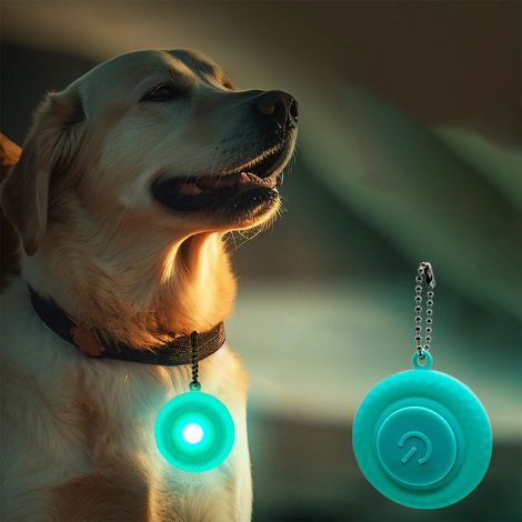 Collier Lumineux Pour Animal De Compagnie - Forme De Pneu - LED Bleue - Fixation Par Clip - Fonctionne Sur Piles - Pour Marches Nocturnes - 1 Pièce (1/5)