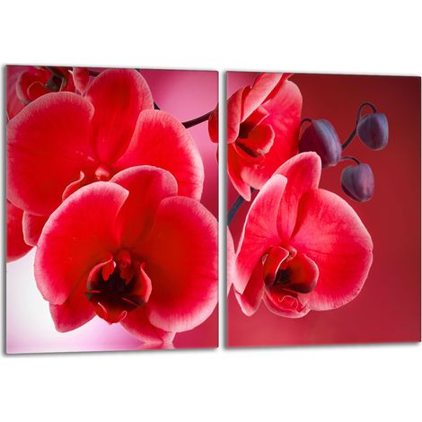 Piastra protettiva in vetro per stufa 2x40x52 Orchidea (1/5)