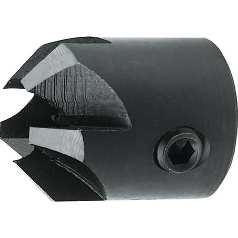 Enfonceur amovible type 0639 D.16mm, trou D.4mm, HSS, longueur 25mm (1/5)