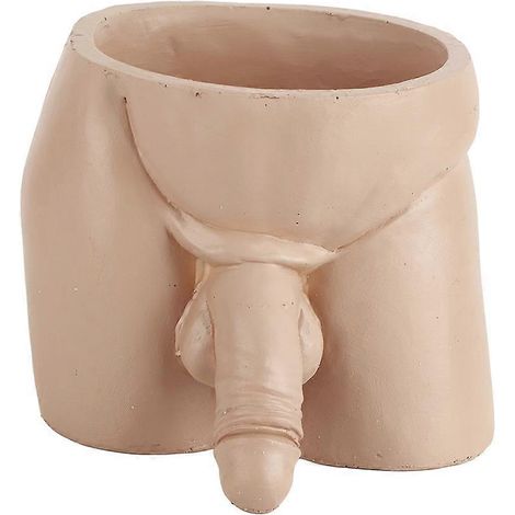 Origineller Blumentopf als Geschenk für Zimmerpflanzen und Sukkulenten, elegante Wohndekoration (1/5)