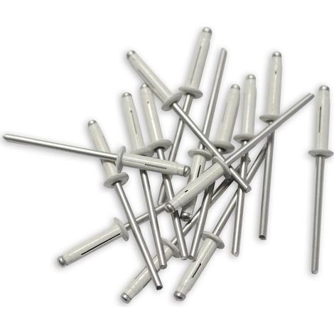 Rivetti Trigrip da 4 x 20 bianchi per targhe mineralogiche
